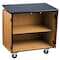 National Public Seating NPSMobile Sci Cabinet Blk Laminate Top MSC2436 - alternate 2